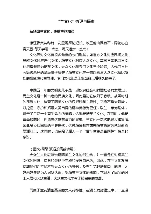 “兰文化”梳理与探索