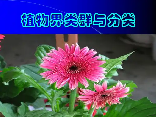 植物学06.植物分类01分类