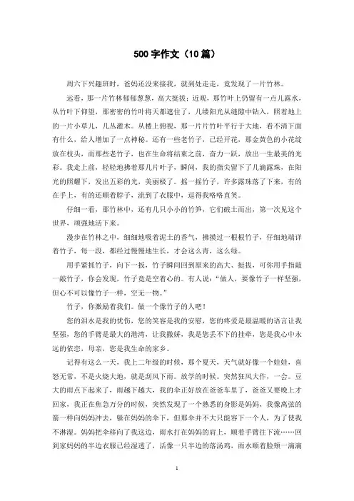500字作文(10篇)
