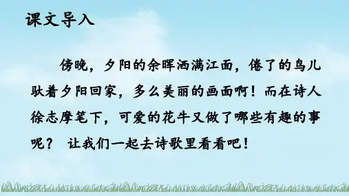 3 现代诗二首 课件(共45张PPT)