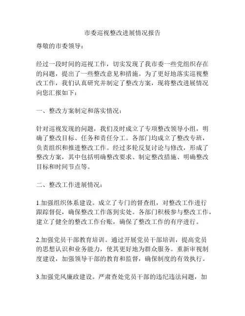 市委巡视整改进展情况报告