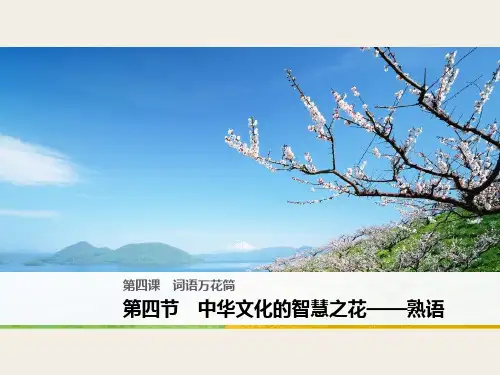 第四课 第四节 中华文化的智慧之花——熟语课件完美版
