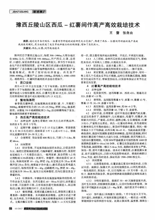 豫西丘陵山区西瓜-红薯间作高产高效栽培技术