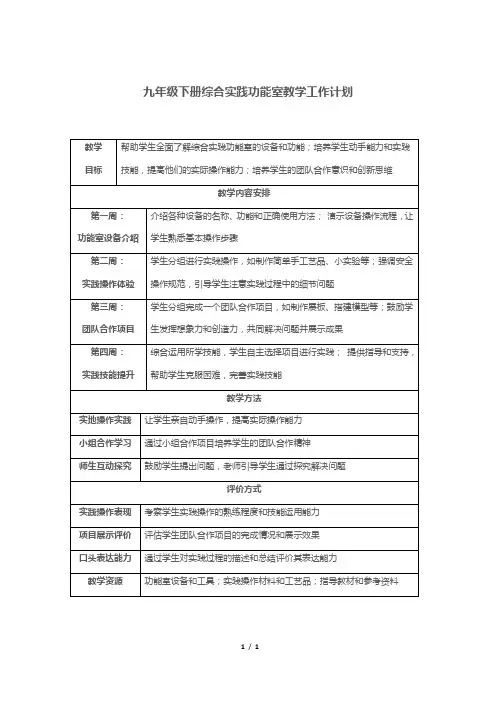 九年级下册综合实践功能室教学工作计划