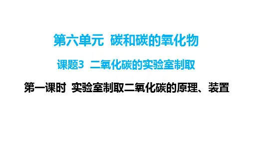 6.3二氧化碳的实验室制取课件-2024-2025学年九年级化学人教版(2024)上册 (1)