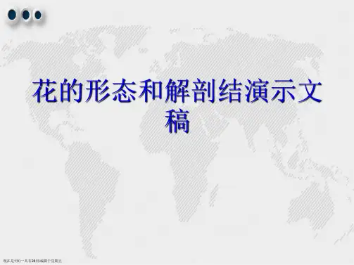 花的形态和解剖结
