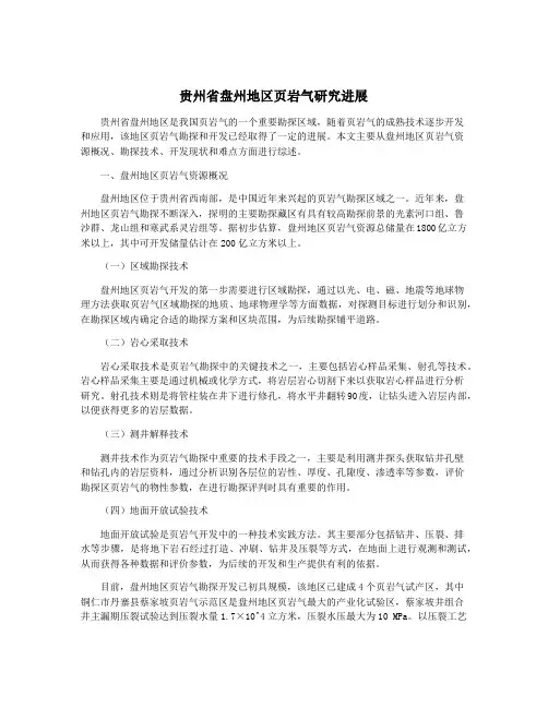 贵州省盘州地区页岩气研究进展