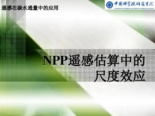 NPP遥感估算中的尺度问题
