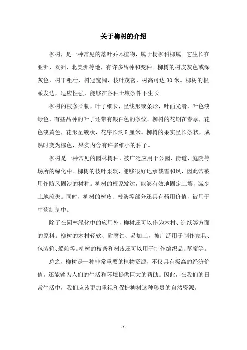 关于柳树的介绍