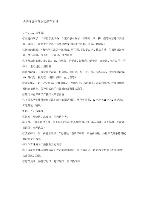 班级特色体育活动推荐项目