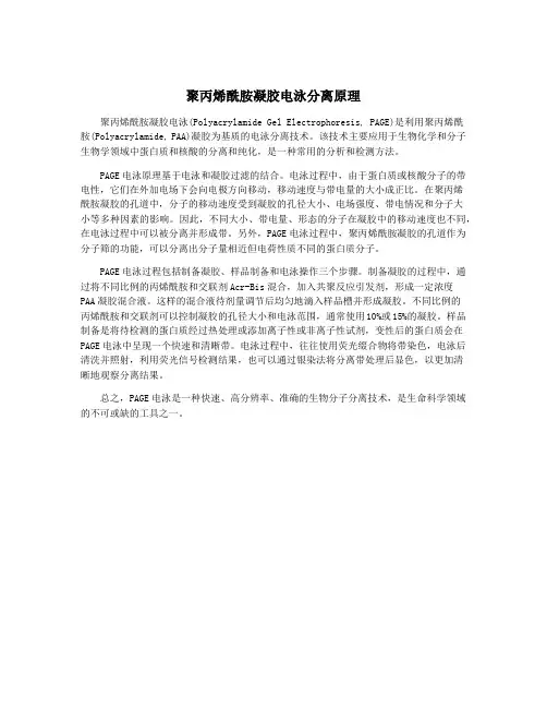 聚丙烯酰胺凝胶电泳分离原理