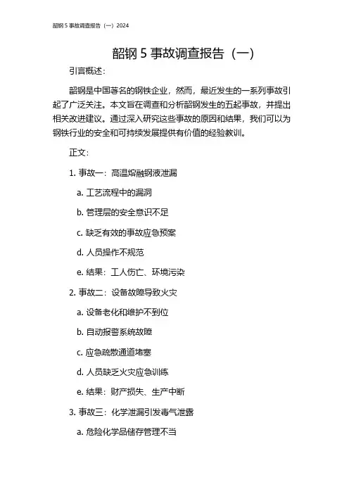 韶钢5事故调查报告(一)2024
