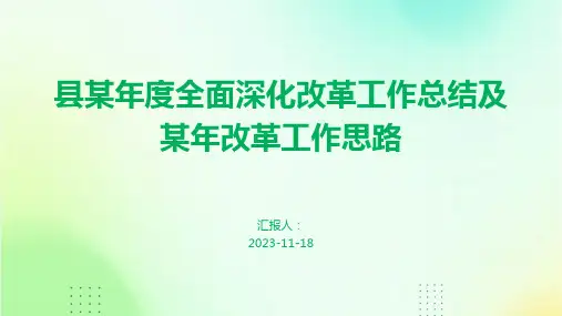 县某年度全面深化改革工作总结及某年改革工作思路