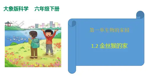 1.2金丝猴的家课件(26张PPT+素材)