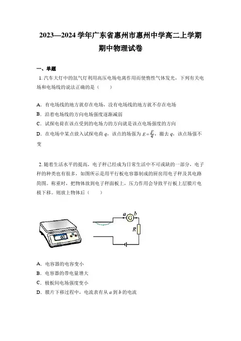 2023—2024学年广东省惠州市惠州中学高二上学期期中物理试卷