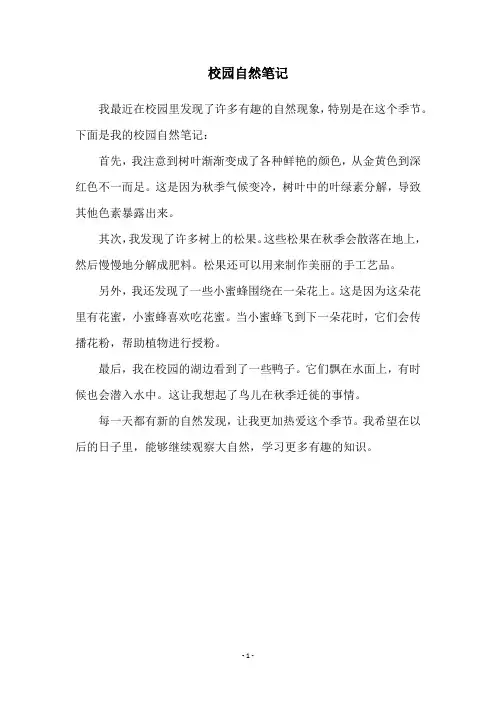 校园自然笔记