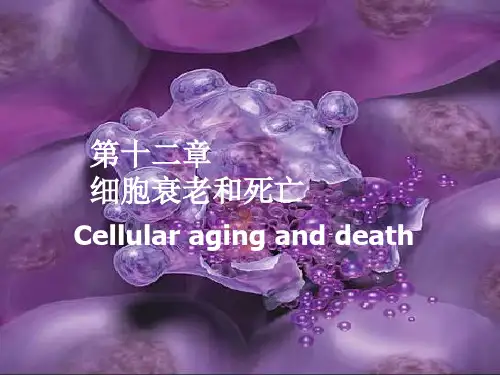 医学细胞生物学细胞的衰老和死亡