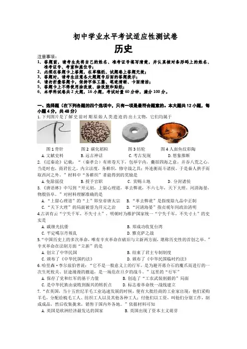 适应性考试历史试卷2套(含答案)