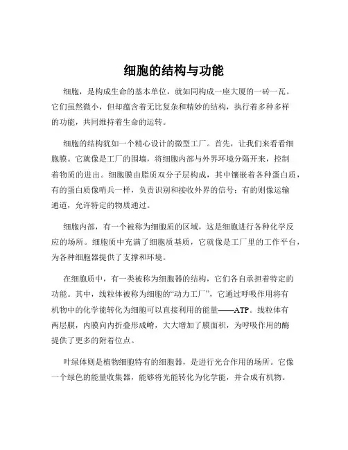 细胞的结构与功能