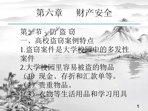 第六章财产安全-ppt课件(全)