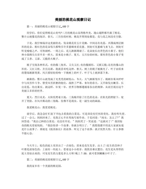 美丽的桃花山观察日记