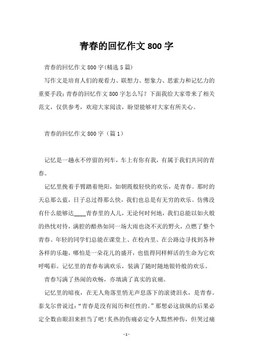 青春的回忆作文800字