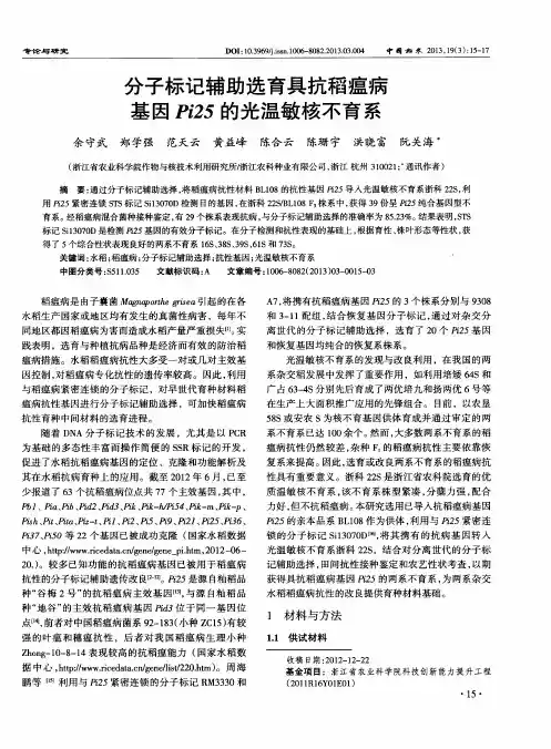 分子标记辅助选育具抗稻瘟病基因Pi25的光温敏核不育系