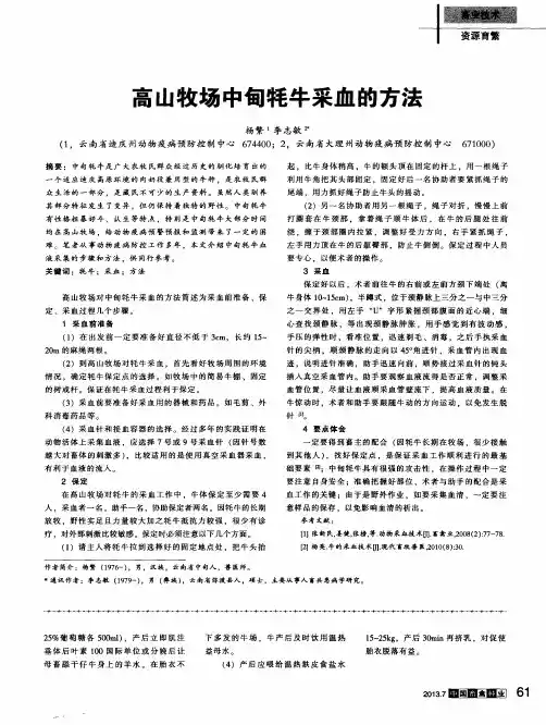 高山牧场中甸牦牛采血的方法