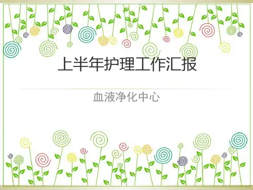 血透室护理工作总结PPT