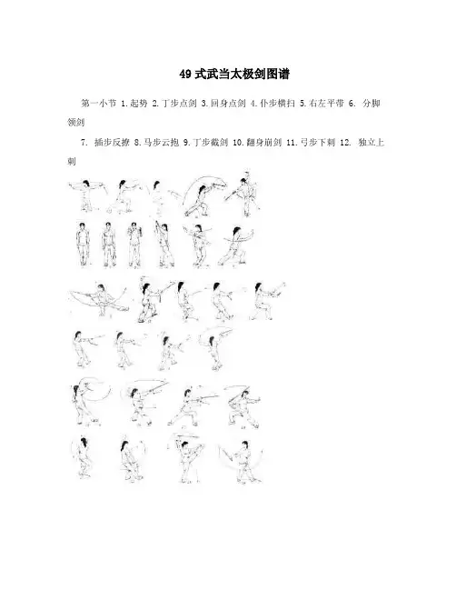 49式武当太极剑图谱