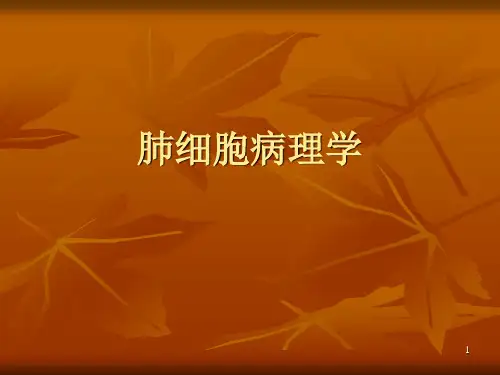 肺细胞病理学 PPT课件