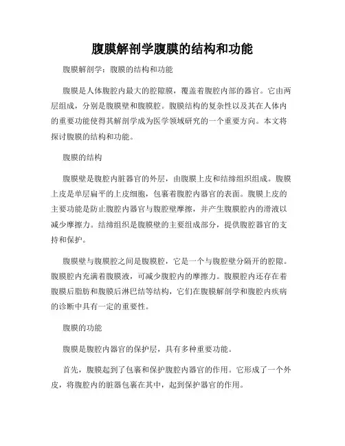 腹膜解剖学腹膜的结构和功能