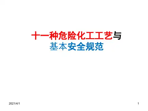 十一种危险化工工艺与基本安全规范(58页)