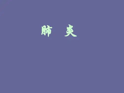 肺炎教学精品PPT课件