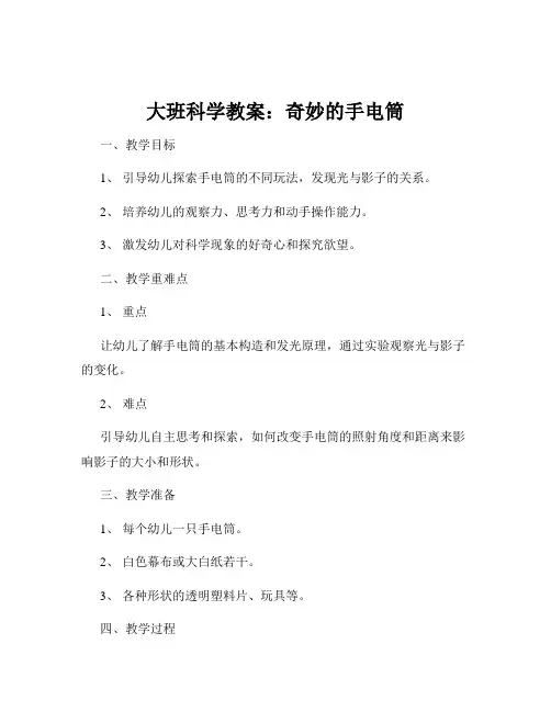 大班科学教案：奇妙的手电筒