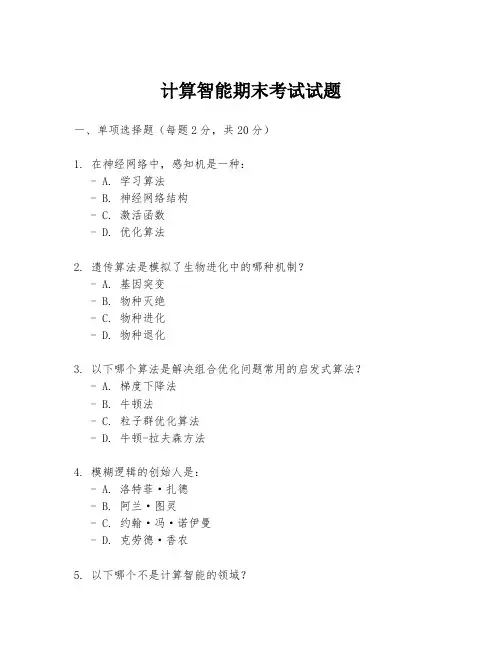 计算智能期末考试试题
