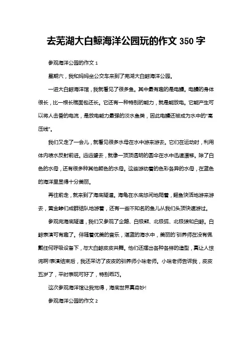 去芜湖大白鲸海洋公园玩的作文350字
