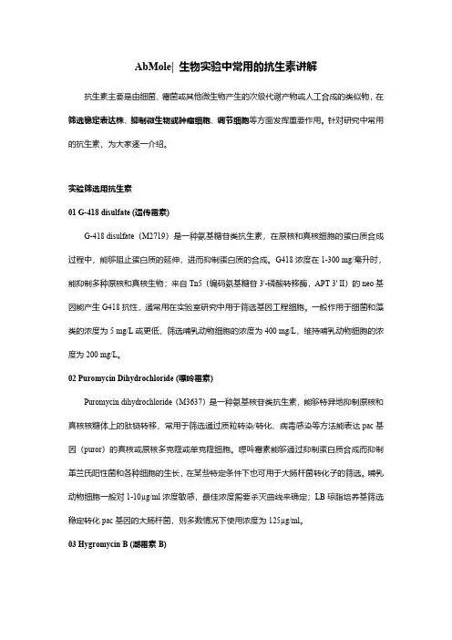 AbMole 生物实验中常用的抗生素讲解