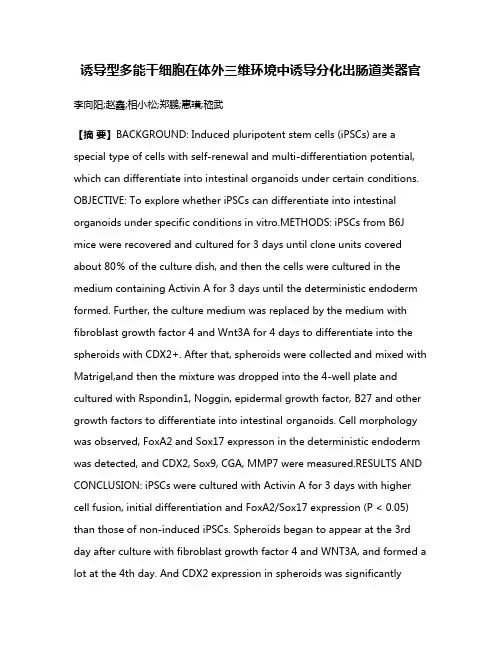 诱导型多能干细胞在体外三维环境中诱导分化出肠道类器官