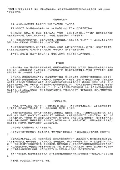 简短的动物亲情故事【三篇】