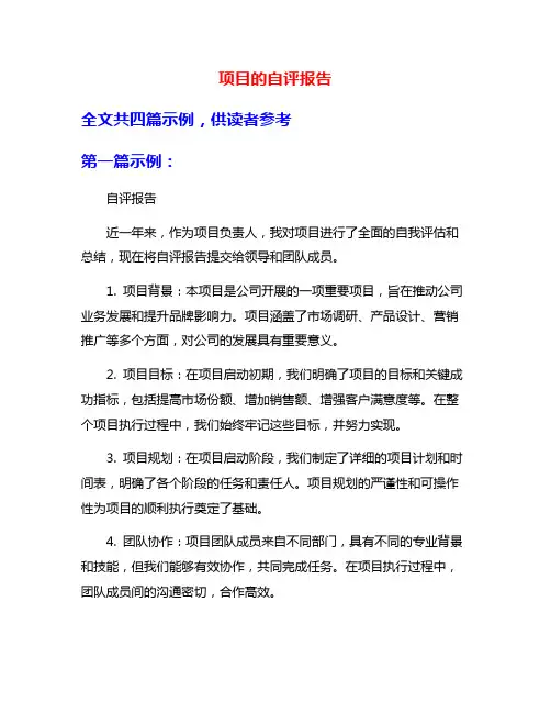 项目的自评报告