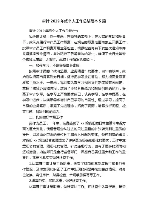 审计2019年终个人工作总结范本5篇