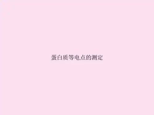 蛋白质等电点的测定