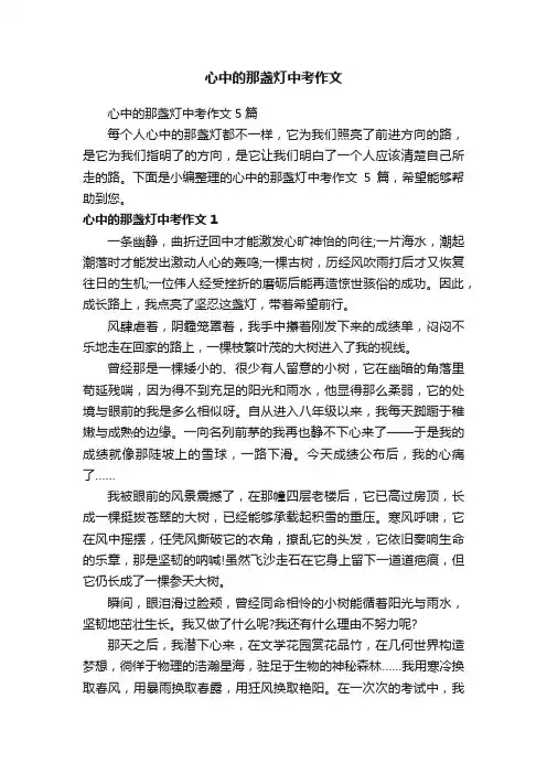 心中的那盏灯中考作文