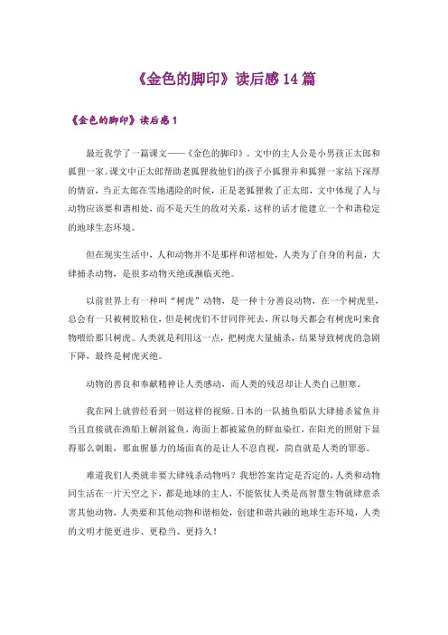 《金色的脚印》读后感14篇