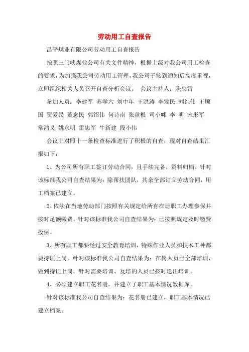 劳动用工自查报告