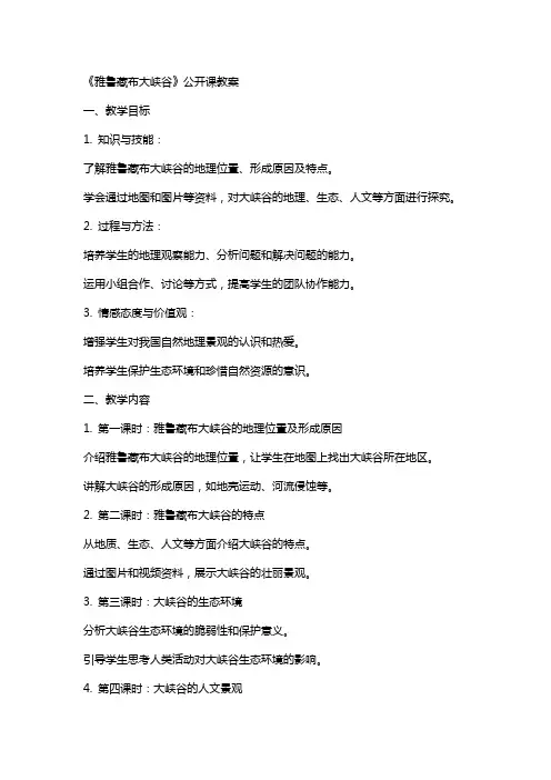 《雅鲁藏布大峡谷》公开课教案