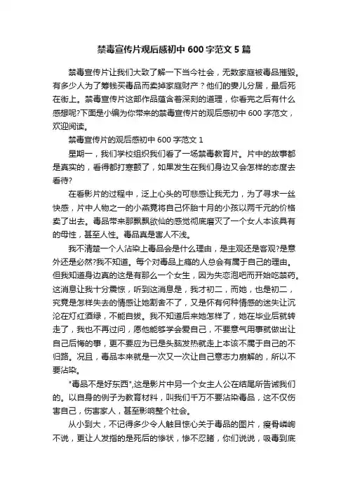 禁毒宣传片观后感初中600字范文5篇