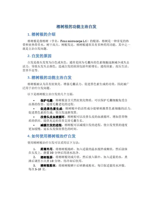 榕树根的功能主治白发