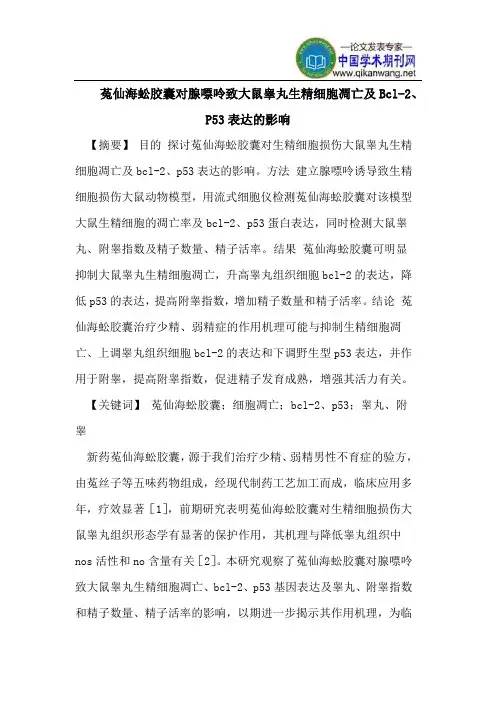 菟仙海蚣胶囊对腺嘌呤致大鼠睾丸生精细胞凋亡及Bcl-2、P53表达的影响